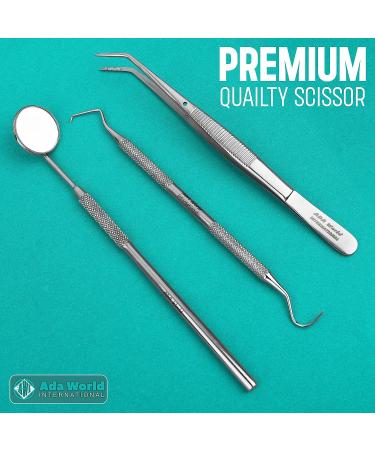 Stainless Steel Dental Plaque Remover Kit - 3 Pcs Dental Cleaning Set with Dentist Mirror for Men, Women, Kids - Home Use - Buy Online on GoSupps.com