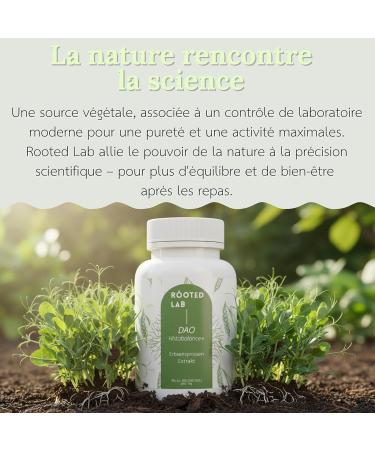 120 caps DAO VEGAN Haute dose 300 000 HDU par dose journali re G lules gastro-r sistantes Enzyme DAO 100% v g tale avec 500 mg de pousses de pois - Buy Online on GoSupps.com