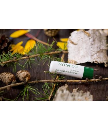 SYLVECO Birch Lip Balm with Betulin - Natural Lip Care for Men & Women - 4.6g | Shop Internationally - Buy Online on GoSupps.com