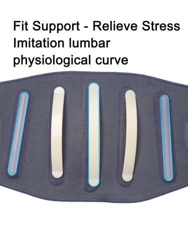 Buy Zwely Lower Back Support Belt - 5 Supports for Pain Relief in Sciatica Herniated Disc & Scoliosis | Comfortable Back Bandage for Lifting Bending & Sitting - International Shipping Available - Buy Online on GoSupps.com