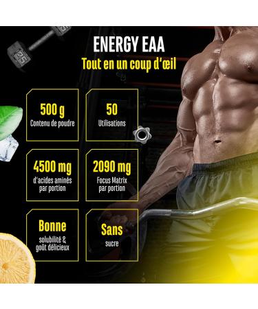 EAA Energy Mix - 500 g - Amino Matrix + Focus Matrix - Sugar Free Energy Drinks - With Caffeine Taurine Guarana N-Acetyl-L-Tyrosine - Pre Workout Booster - Vegan (Lemon) - Buy Online on GoSupps.com