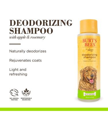Burt's Bees Apple & Rosemary Deodorizing Dog Shampoo & Spray Set - Natural Puppy Bathing Supplies - 16 oz - 1 Pack - Buy Online on GoSupps.com