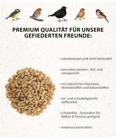 Dehner Natura Bird Feed - Peeled Sunflower Seeds for Wild Birds | Year-Round Supplementary Food for Tits Finches & Sparrows | 5 kg Pack - Buy Online on GoSupps.com
