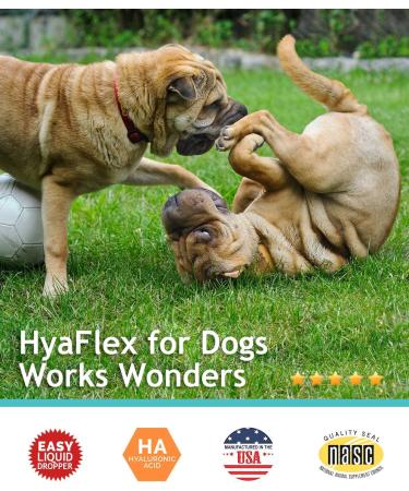 Hyalogic HyaFlex Hyaluronic Acid for Dogs - 1 oz (30 ml) - Joint Support & Hydration - Buy Online on GoSupps.com