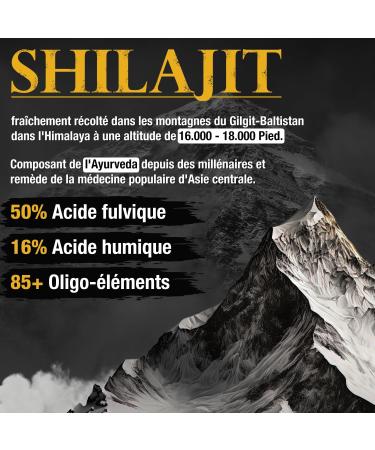Shilajit 260 Capsules | Extract 50:1 ( 75 000mg Shilajit per dose) | 85 Days | 50% Fulvic Acid + 16% Humic Acid | 100% Pure & Original | Vegan & No Additives - Buy Online on GoSupps.com