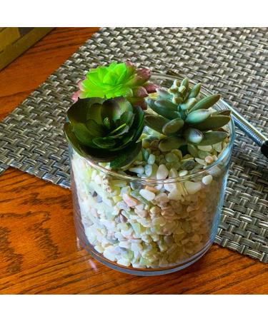 3lb Jade Bean Sand Stone Natural Top Dressing for Succulents & Cactus Bonsai Projects - Decorative Gravel for Terrarium & Fairy Garden - 5mm-8mm Light Green - Buy Online on GoSupps.com