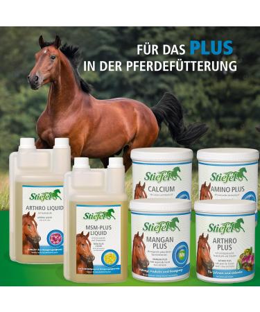 Buy MSM-Plus Liquid for Horses | Support Musculoskeletal Health with MSM Glucosamine & Chondroitin | 1L Joint Health Supplement - Buy Online on GoSupps.com
