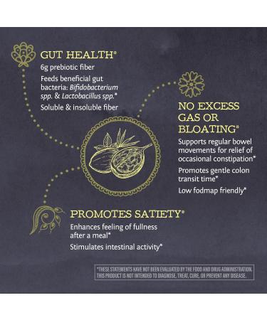 Fiber Supplement Prebiotic Organic | Vegan Fiber Supplement Plant-Powered Gut Health Booster with Pure Ingredients for Digestive Harmony | Vegan & Non-GMO | 8oz Pouch (30 SRV) Be Well by Sunwarrior - Buy Online on GoSupps.com