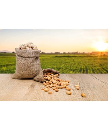 Fruidles Raw Peanuts in Shell - 2 Pound Bag for Boiling, Squirrels, Birds, and Wildlife - Buy Online on GoSupps.com