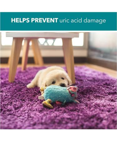 RSPCA 750ml Pet Stain and Odour Remover Wee Away | Pet Friendly | Probiotic Cleaning - Discourage From Repeat Marking - Buy Online on GoSupps.com