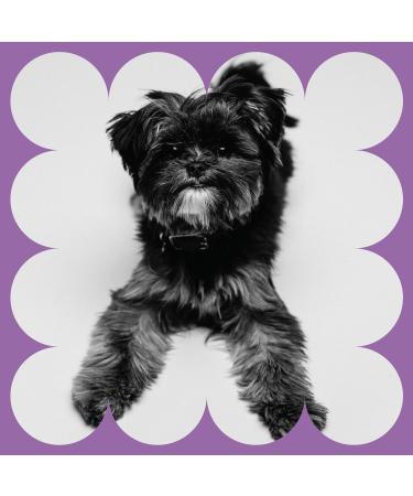 Complete Natural Products Organic Urinary Tract Concentrate for Pets - 4oz | Pure Organic Formula for Healthy Urinary Health - Buy Online on GoSupps.com