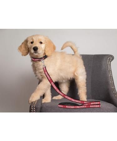 NFL Pet Leash - Small | Officially Licensed by Pets First - Buy Online on GoSupps.com