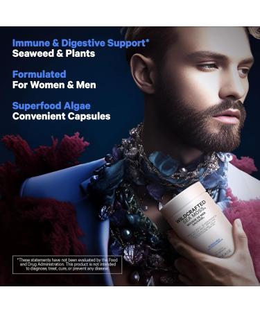 Codeage Wildcrafted Sea Moss Supplement - Irish Sea Moss Bladderwrack Spirulina Superfood Supports Nutrient Intakes With Black Pepper Fruit - 2-month Supply - Non-GMO Gluten-Free - 120 Capsules - Buy Online on GoSupps.com