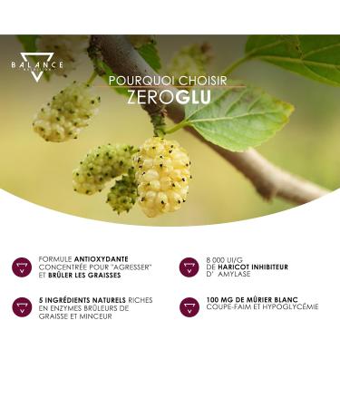 ZEROGLUR - 60 Capsules | Powerful Fat Burner | Hunger Suppressant | Weight Loss | Reduces Sugar Accumulation for Correct Weight Control with BIOPERINE Bean Extract and Piperine - Buy Online on GoSupps.com
