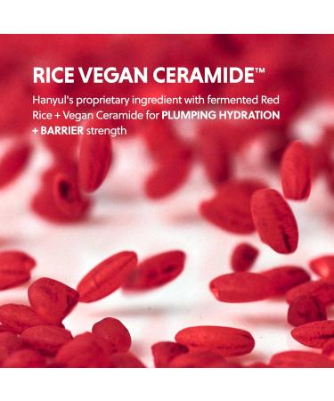 Hanyul Red Rice Hydrating Cream with Fermented Rice Extract Collagen | Korean Vegan Ceramide Moisturizer for Deep Hydration Radiant Skin Glow Firming & Barrier Support 1.86 fl. oz. Light Floral - Buy Online on GoSupps.com