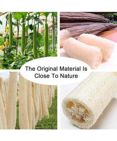 Natural Exfoliating Loofah Bath Brush on Stick - 9.4 Wooden Handle Tubular Sponge Back Scrubber for Men & Women - Buy Online on GoSupps.com