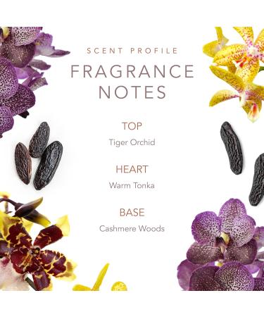 SCENT BEAUTY by Dolly Parton - Eau de Toilette - Smoky Mountain - Buy Online on GoSupps.com