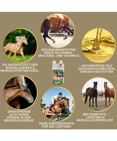 Rice Germ Oil Flax Oil 1L 30 ml for Horses Plus Vitamin E + Amino Acids Horse + Complex - Bodybuilding Horse Without Selenium Lysine Replenishing Food Supplement Horse Food - Buy Online on GoSupps.com