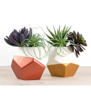 DecoArt Extreme Sheen 24K Gold Metallic Acrylic Paint 2 Fl. Oz. Bottle (Pack of 6) 2 Fl Oz (Pack of 6) 24K Gold - Buy Online on GoSupps.com