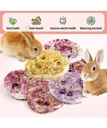 Buy Abiz 6-Pack Natural Luffa Rabbit Cake Toys for Guinea Pigs & Small Pets - Perfect for Hamsters Rabbits Rats & Chinchillas - Buy Online on GoSupps.com