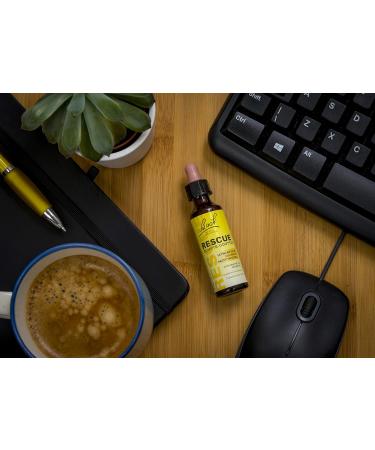 Rescue Compte-gouttes La s r nit port e de main formule originale Vegan Compl ment alimentaire 1 Flacon Compte Gouttes Multicolore 20ml - Buy Online on GoSupps.com