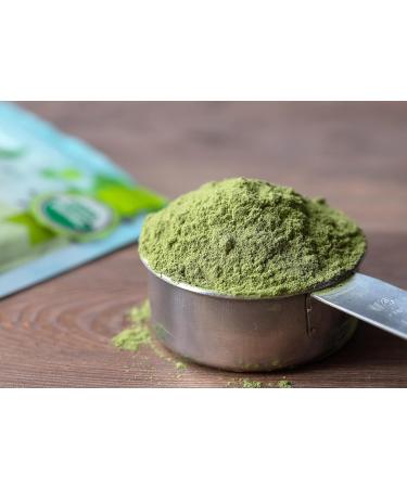 Food to Live Organic Alfalfa Powder 12 Ounces - Non-GMO Made from Raw Dried Whole Young Leaves Vegan Bulk Great for Baking Juices Smoothies Shakes Tea Drinks. for Dietary Fiber and Protein 12 Ounce (Pack of 1) - Buy Online on GoSupps.com