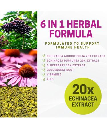 Herba Echinacea Capsules with Goldenseal Root 60 Capsules | 4500mg of Echinacea Per Day | Includes Elderberry Zinc and Vitamin C to Help Relieve Symptoms of Cold Flu and Sore Throat | Extra Strength | Support Immunity - Buy Online on GoSupps.com