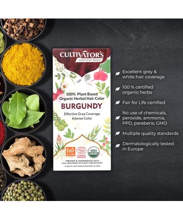 Cultivator's Organic Herbal Hair Colour - Burgundy 100g - Buy Online on GoSupps.com