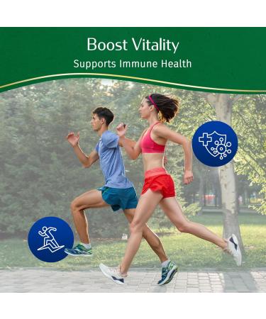 Kerala Ayurveda Ashwagandha Capsules 60 Vegan Capsules | Organic Adaptogen for Stress Support Mood Balance & Daily Vitality | Supports Healthy Stress Response & Immune Support | Prop 65 Compliant - Buy Online on GoSupps.com