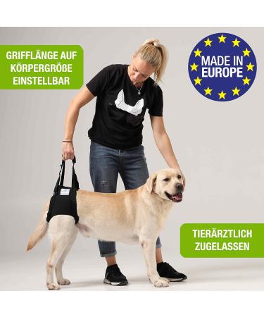 Premium XL Blue Dog Rehabilitation Aid - Neoprene Walking Support for Spine Hip & Knee Issues | From Nature Pet - Buy Online on GoSupps.com