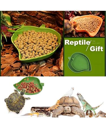 Bailinks 2 Pieces Tortoise Water Bowls Reptile Food Water Bowls Leaf Shape tortoise accessories Tortoise Food Bowl for Crawl Pet Tortoises or Small Reptiles - Buy Online on GoSupps.com