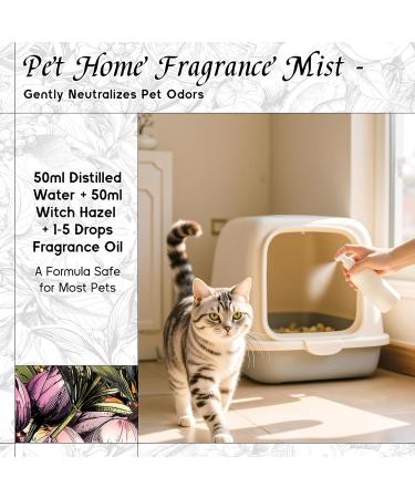 HIQILI 100ML Lavender Essential Oil & 30ML Osmanthus Starlight Fragrance Oil for DIY Diffuser - Buy Online on GoSupps.com