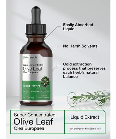 Super Strength Olive Leaf Extract Liquid - 2 fl oz | Alcohol-Free, Vegetarian, Non-GMO, Gluten-Free | Horbaach - Buy Online on GoSupps.com