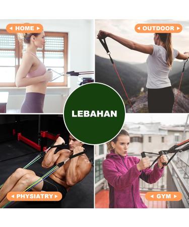 Leuhan Resistance Bands Set - 5 Bands (150LBS) 2 Hand Straps 2 Ankle Straps Door Anchor & Storage Bag | Ideal for Home & Travel Workouts - Buy Online on GoSupps.com