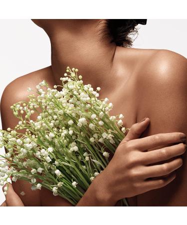 Donna Karan Cashmere Mist Women's Anti-Perspirant Deodorant Stick - 1.7 Oz - Buy Online on GoSupps.com