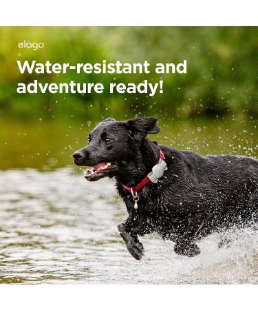 Shop Elago Ribbon Case for Pet Collars - Compatible with Apple Airtag | Cute Taupe Design for Dogs & Cats - Buy Online on GoSupps.com