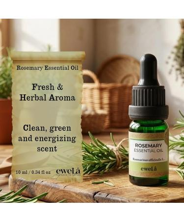 Ewela Rosemary Essential Oil 100% Pure Steam Distilled 0.34 Fl Oz Aromatherapy Relaxation All Seasons - Buy Online on GoSupps.com