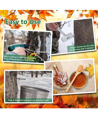 Maple Syrup Taps Maple Syrup Tapping Kit Stainless Steel Maple Tree Taps Spiles L Shaped Tree Taps for Syrup Maple Syrup Supplies Includes Spile Hook Tubing and Cleaning Brushes - Buy Online on GoSupps.com
