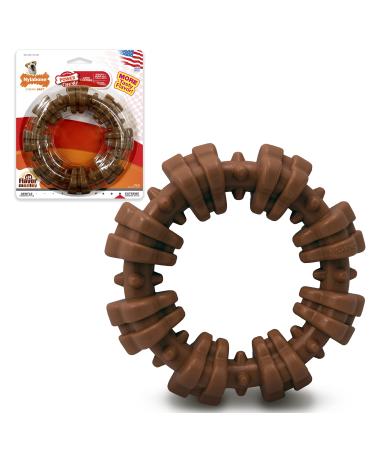 Nylabone Power Chew Textured Ring Dog Chew Toy for Aggressive Chewers with Bold Flavor and Made in The USA Ring Flavor Medley X-Large/Souper (1 Count)