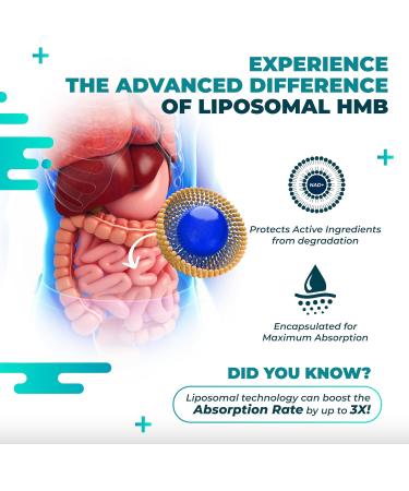 Liposomal HMB with Vitamin D3 K2 - Support Muscle Mass Recovery - Made and Tested in The USA 150 count (pack of 1) - Buy Online on GoSupps.com