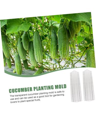 Toddmomy Garden Fruit Mould 10 Pcs Vegetable Shaping Mold Vegetables Square Cucumber Mold Vegetable Shape Mold Gourd Accessories - Buy Online on GoSupps.com