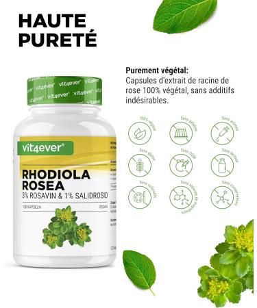 Rhodiola Rosea -120 capsules of 500 mg - Real Extract - High quality raw material: 3% rosavin & 1% salidroside -100% rosehip root extract - High dosed - Vegan - Buy Online on GoSupps.com