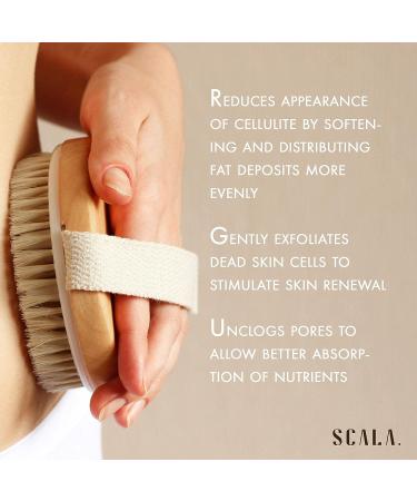 Wet and Dry Body Brush Exfoliator by Scala Beauty | Soft Bristle Brush for Smooth, Radiant Skin - Exfoliates Dead Skin, Reduces Cellulite, Stimulates Blood Flow | 5 x 2.75 in Dry Brush - Buy Online on GoSupps.com