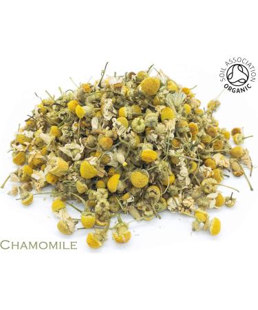Chamomile Flower and Nettle Leaf Organic Herbal Infusion (25 Unbleached Tea Bags - 50g) - Buy Online on GoSupps.com
