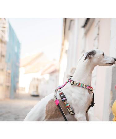 Max & Molly Missy Pop Dog Harness - Odorless Neoprene Comfort & Loss Protection | Shop Internationally - Buy Online on GoSupps.com