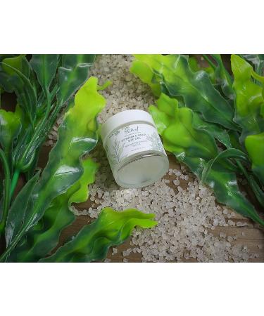 Sea-el Vitamin C Kelp Eye Gel - Toning & Age-Defying Formula - 1 Ounce - Buy Online on GoSupps.com