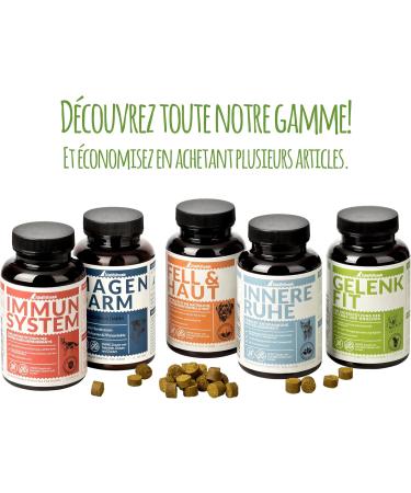 Schn ffelfreunde Magen Darm - Dog I Digestive Supplements for Dogs - Tablets for Digestive and Gastric Support - Made in Germany (150g) - Buy Online on GoSupps.com