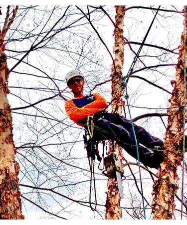 NorthPada High Strength Polyester Rock Climbing Rope - 32 FT Orange Static Line for Arborist, Boat Anchor, and Tree Cutting/Climbing - Buy Online on GoSupps.com