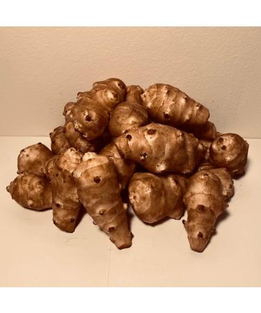 Sunchokes Adama Foods - 2 1/2 pounds (2.5 lbs) for Planting or Eating FEDEX 2day