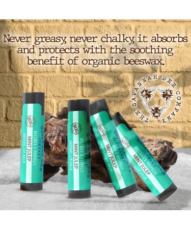 Buy Savannah Bee Company Mint Julep Lip Balm - 0.15 oz (Pack of 4) | Best International Shipping - Buy Online on GoSupps.com